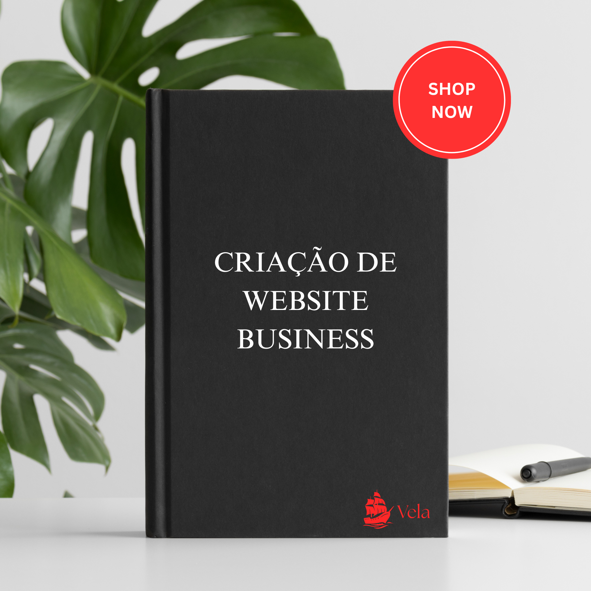 Criação de Website Business