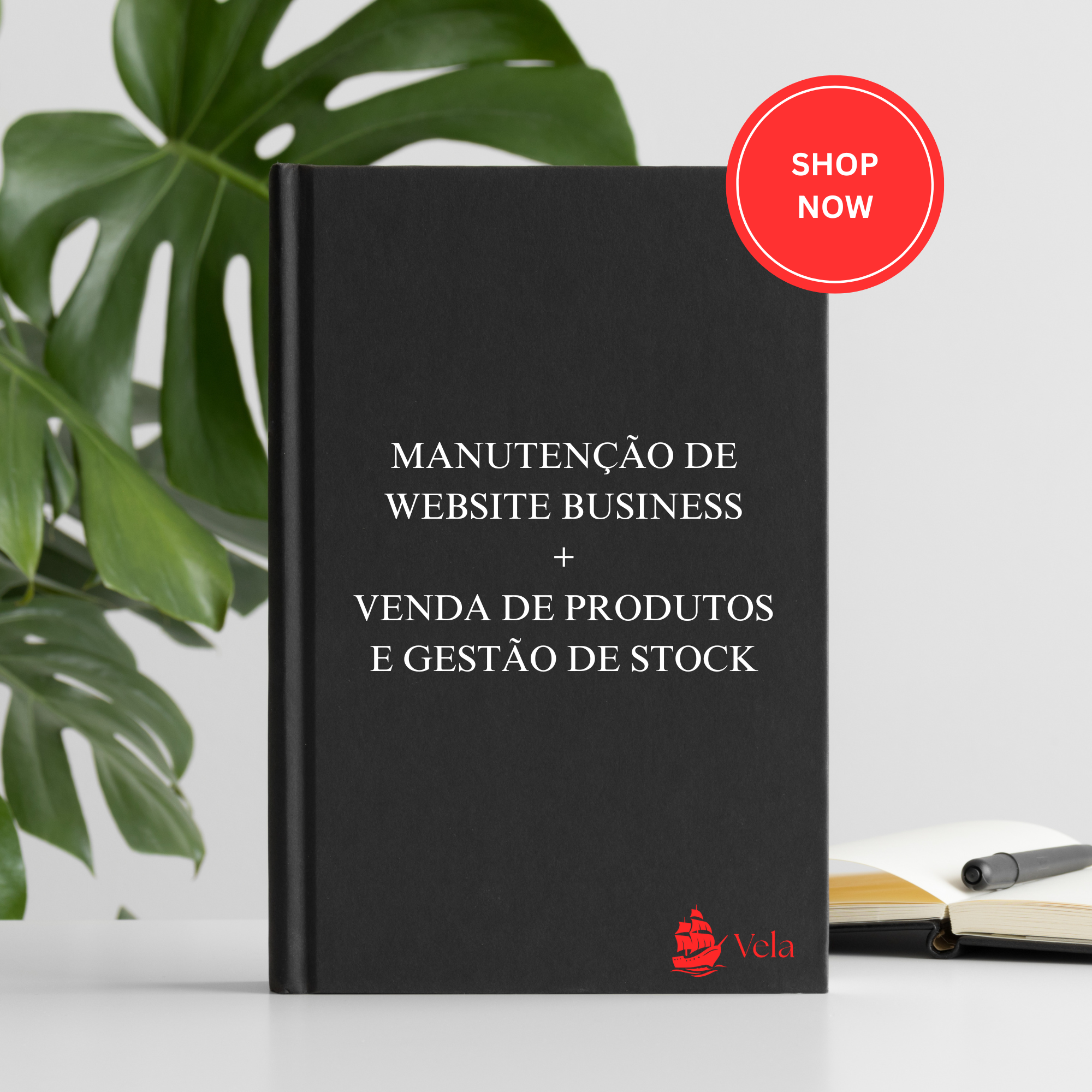 Manutenção de Site Business + Venda de Produtos e Gestão de Stock